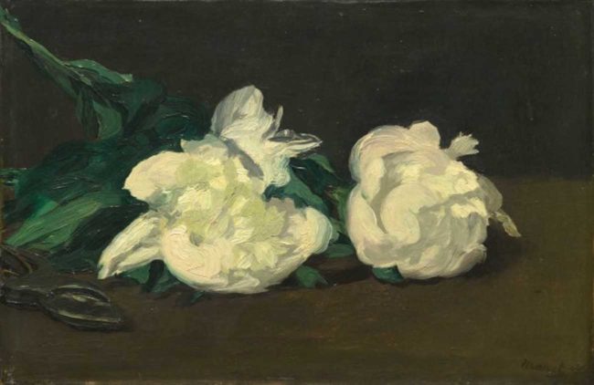 Manet e la Parigi moderna: Manet, Ramo di peonie bianche e cesoie