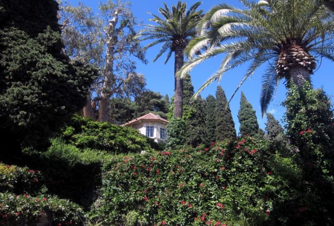 Villino della Pergola tra le palme