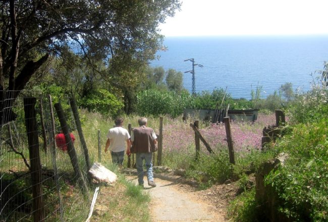 Tra i campi e i borghi di Framura