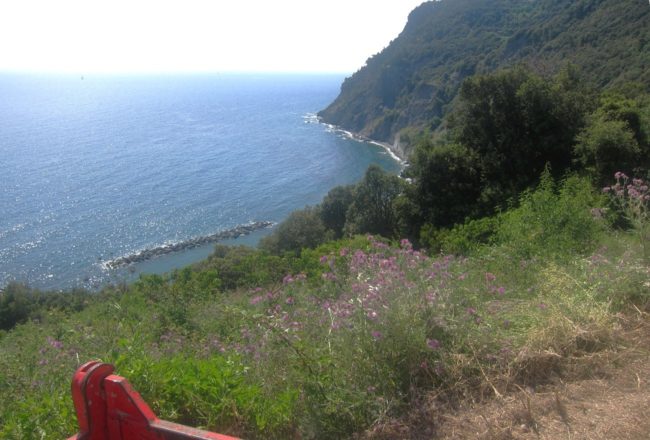 Le spiagge di Framura viste dall'alto