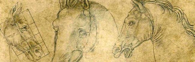 disegno cavallo leonardo