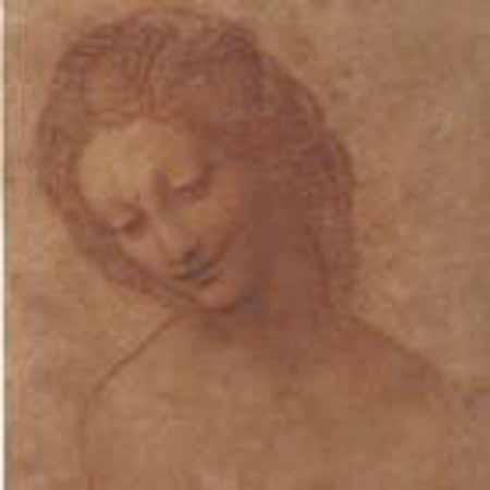 leonardo disegno testa di donna 