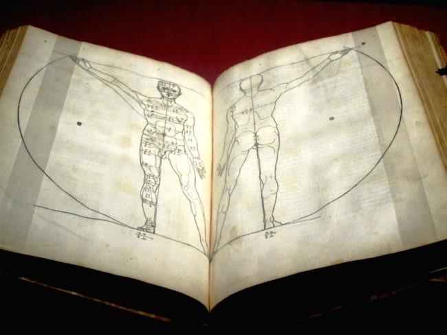 Studi di Dürer sulle proporzioni del corpo umano